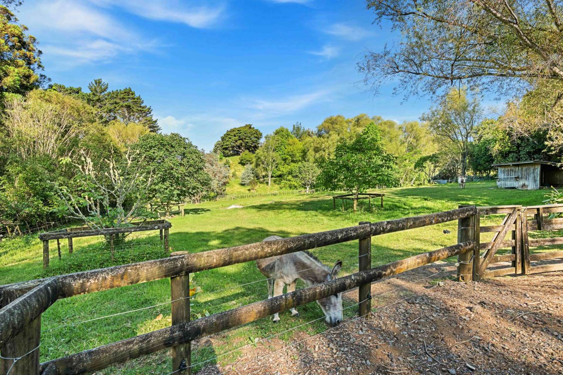 67 Gregory Road Waitakere_0