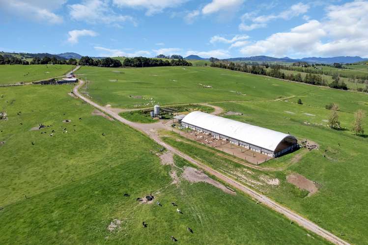 Knight Road Ruatangata_0