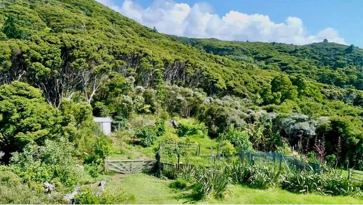 62 Kaitoke Lane Great Barrier Island_30