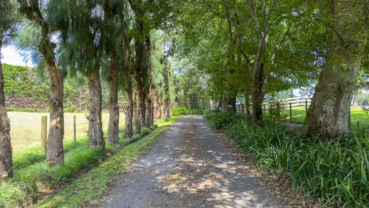 9609 State Highway 2 Waihi_16