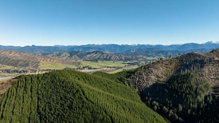 Motueka Valley Highway - Rabbit Gully Motueka Valley_7