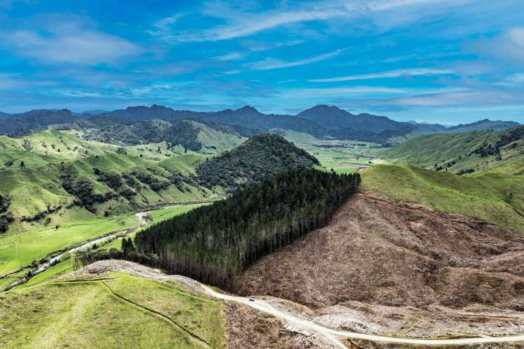 Lots 2-4, 14, 15, DP 9115 Motu Road Matawai_8