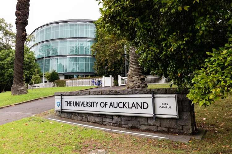 1A/50-52 Eden Crescent Auckland Central_16