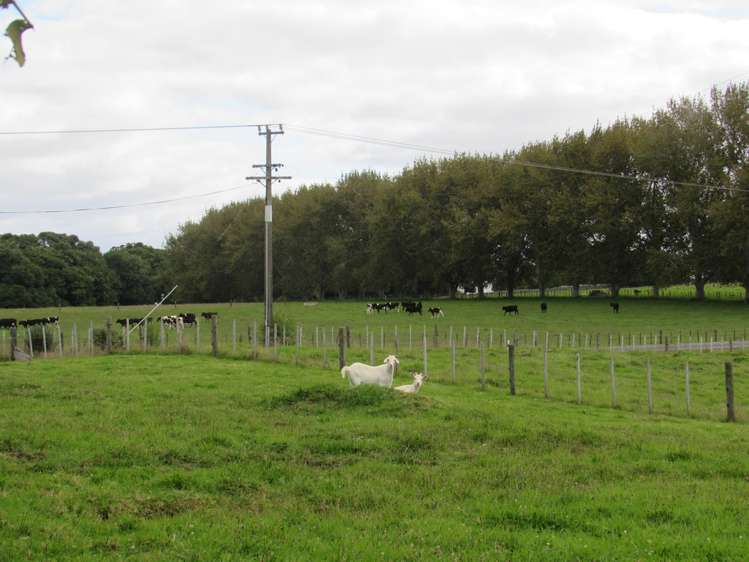 3 Bullman Road Ohaeawai_25