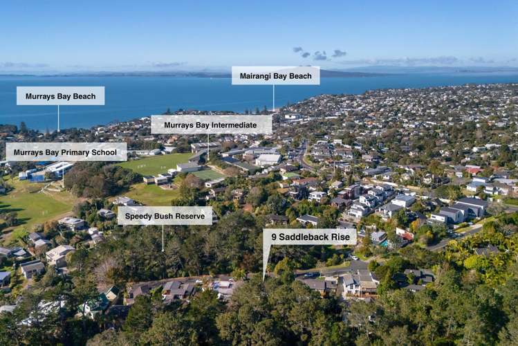 9 Saddleback Rise Murrays Bay_30