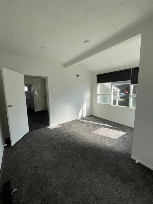62A Awapuni Rd Awapuni_3