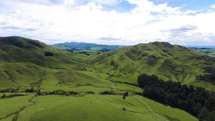 15 Hinerua Road Ongaonga_19