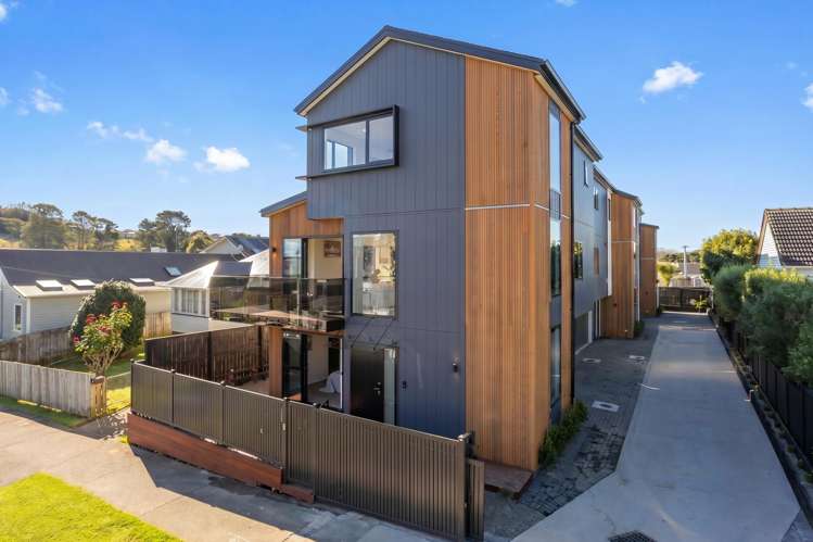 15A Manapau Street Meadowbank_22