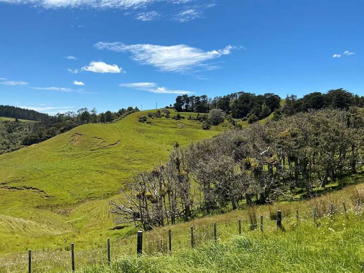 Lot 3 DP539905 Dill Road Kaipara Flats_18