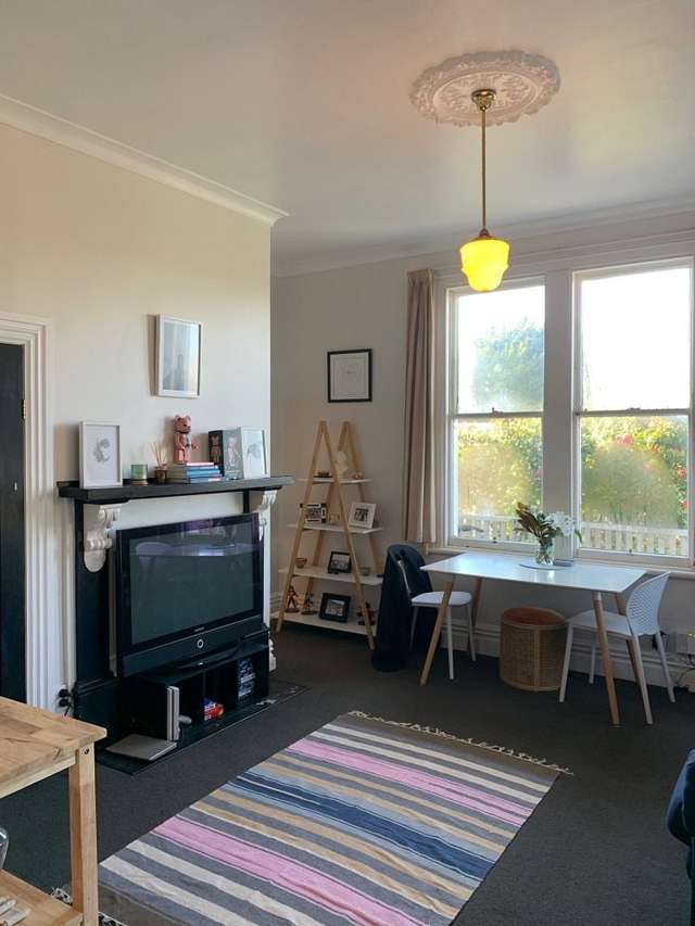 3 Mckenzie Terrace Te Aro_3