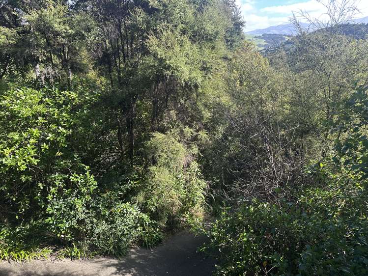 28 Rue Cachalot Akaroa_17