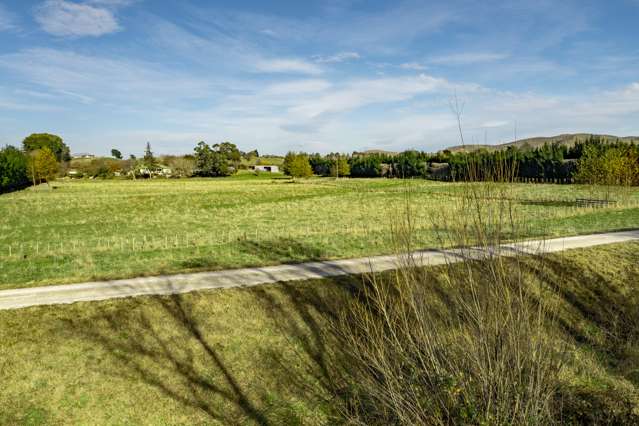 2450 State Highway 2 Waipukurau_4