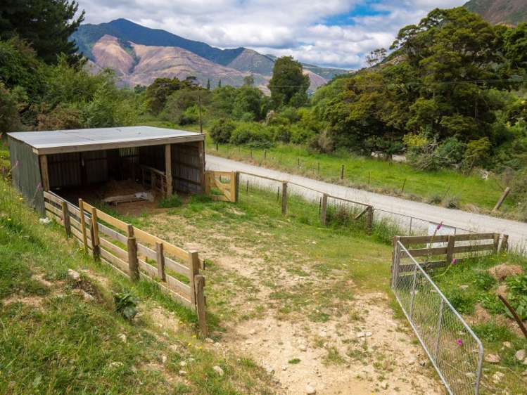 106 Tapps Road Havelock_7