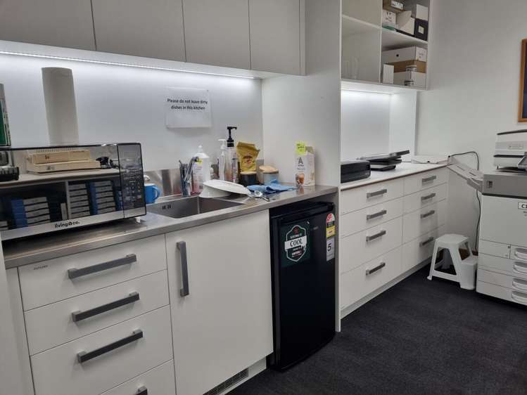 9 Francis Place Te Aro_4