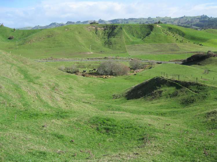 Mangatete Road Ngakuru_9