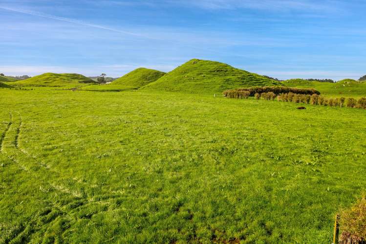 523/593 Warea Road Warea_22