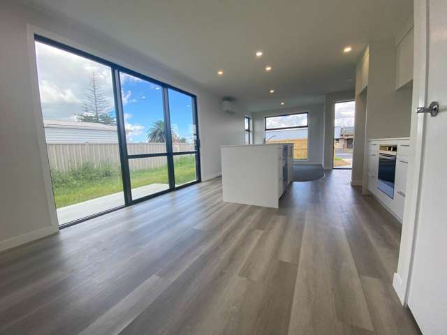 11b Carr Street Tuakau_2