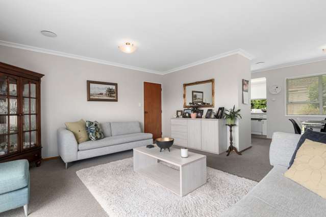 5a Twelfth Avenue Tauranga South_1