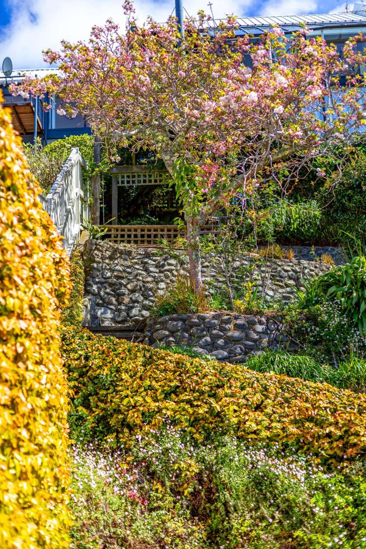 24 Talavera Terrace Kelburn_24