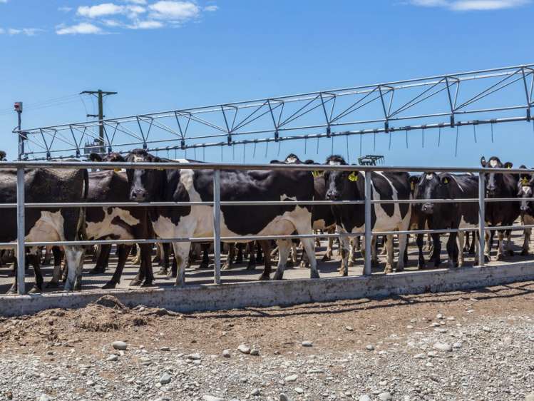 1403 South Eyre Road Swannanoa_10