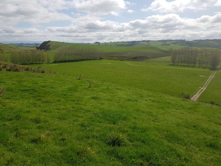 173 Soper Road Clinton and Surrounds_11