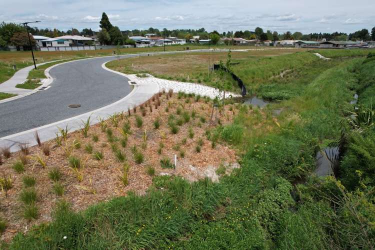 40 Scotia Glen Street Putaruru_5