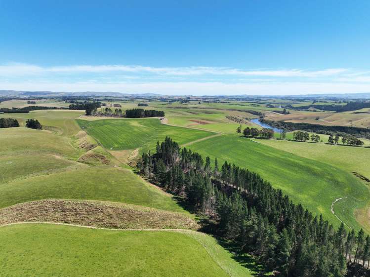 675 Black Bridge Road Ashley Downs_11