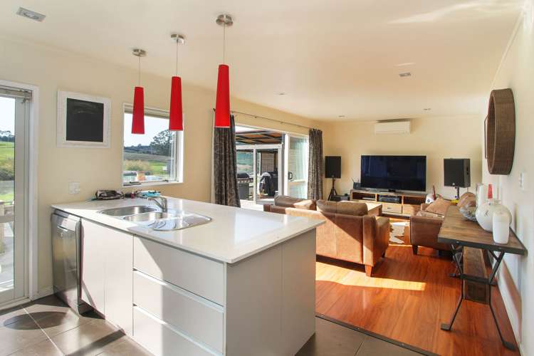 372 Horseshoe Bush Road Dairy Flat_9