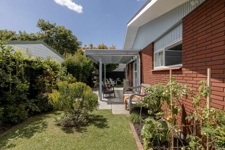 113c Grace Road Tauranga South_15