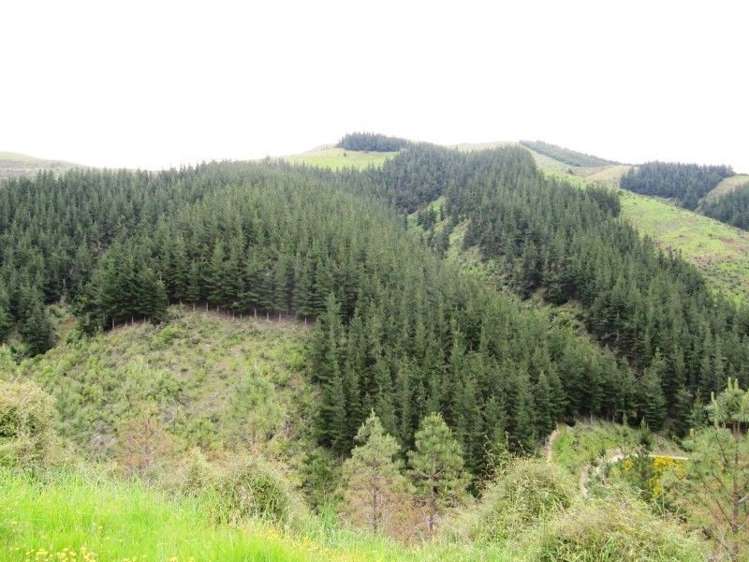 2213 Te Moana Road Geraldine_0