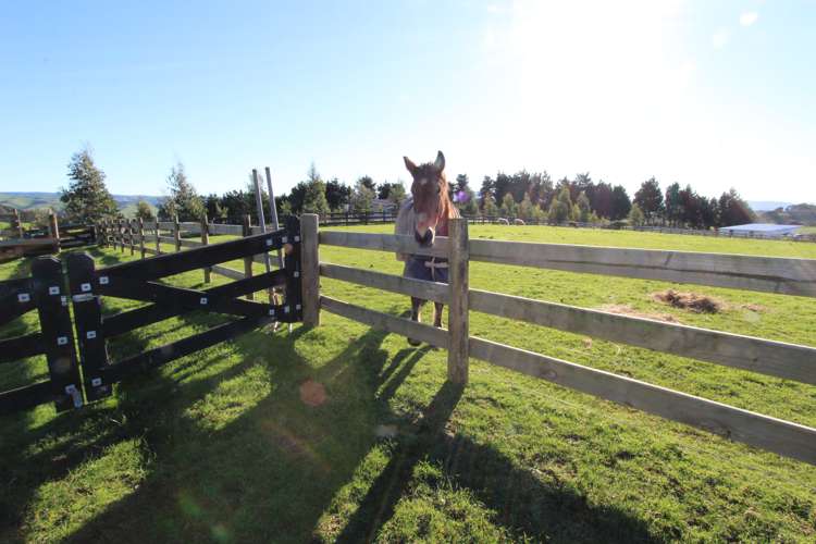 786 Ridge Road Pahiatua_7