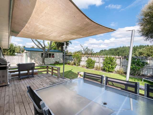 15b Princess Street Te Puke_3