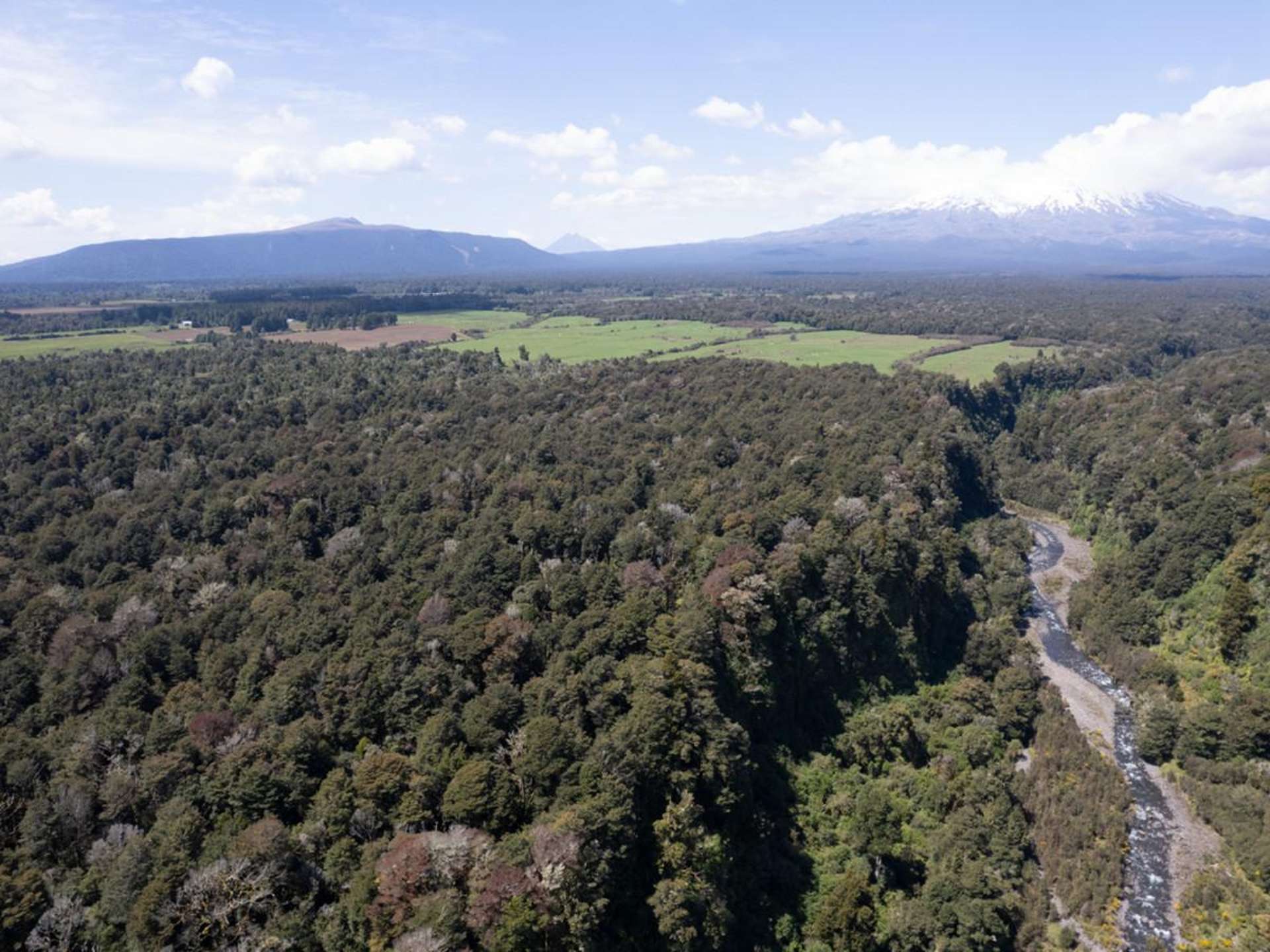 205 Mangaturuturu East Road National Park_0