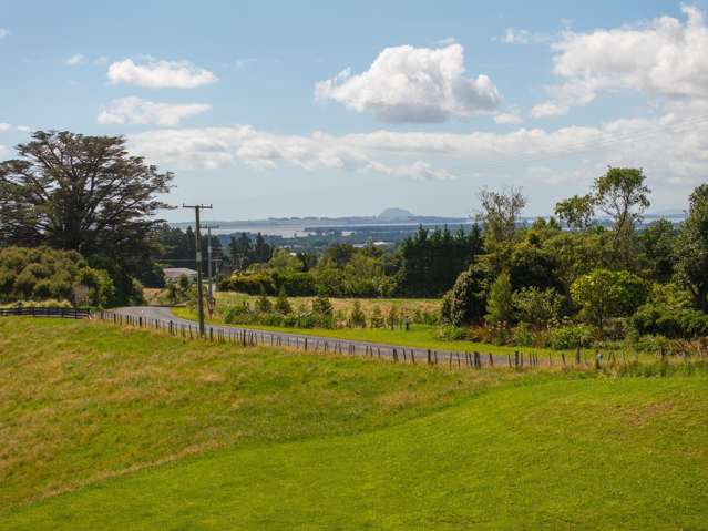 250 Busby Road Katikati_3