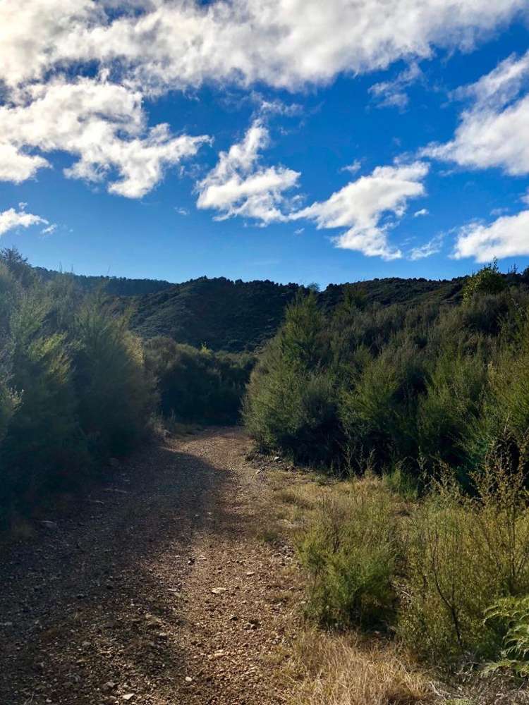 236 Anatoki Track Road Takaka_20