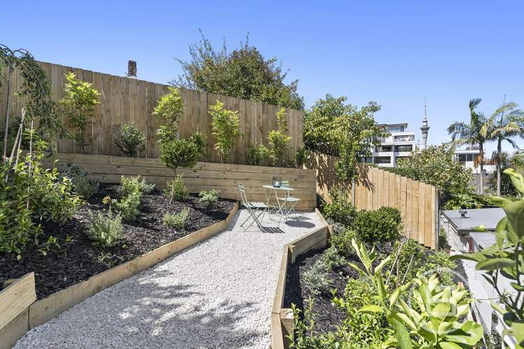 12 Costley Street Freemans Bay_7