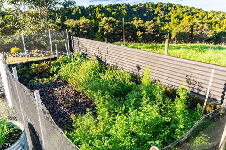 347 Campbell Road Parua Bay_37