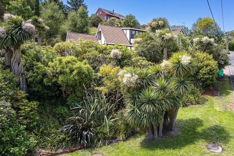 23 Woodside Terrace Andersons Bay_21