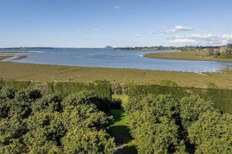 80 Prestidge Road Aongatete_28