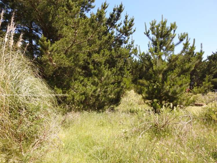 74b Himatangi Street Himatangi Beach_11