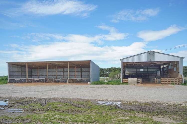 1106 Ardlui Road Hororata_21