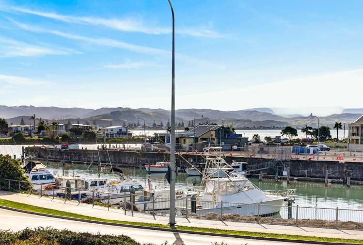 1/3 Mahia Street Ahuriri_18