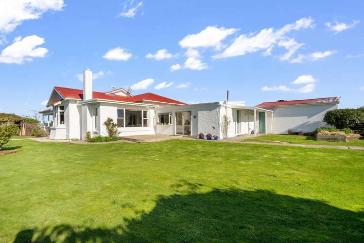 49 Roslyn Road Roslyn Bush_30