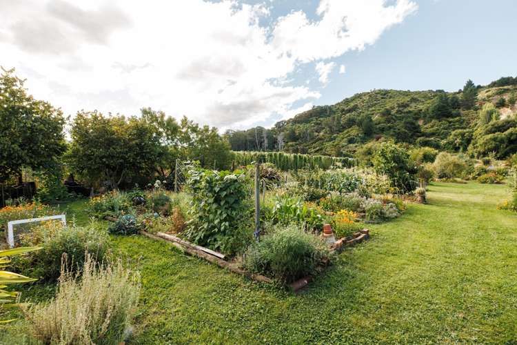 60 Takaka Hill Highway Riwaka_17