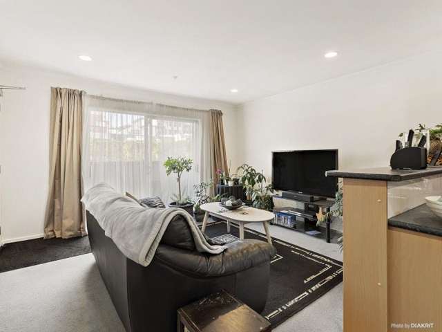 9/3 Kelvin Grove Te Aro_1