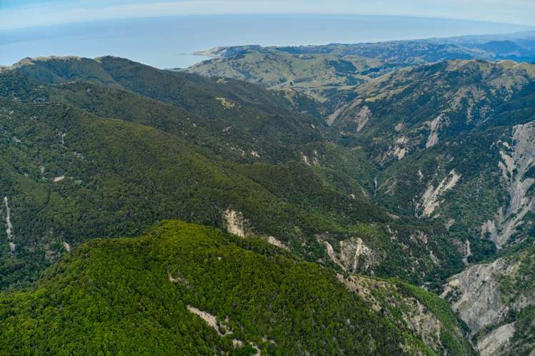 20 Moana Road Kaikoura_9