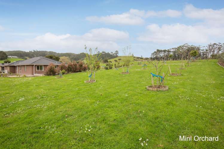 27 Moses Road Kaukapakapa_20