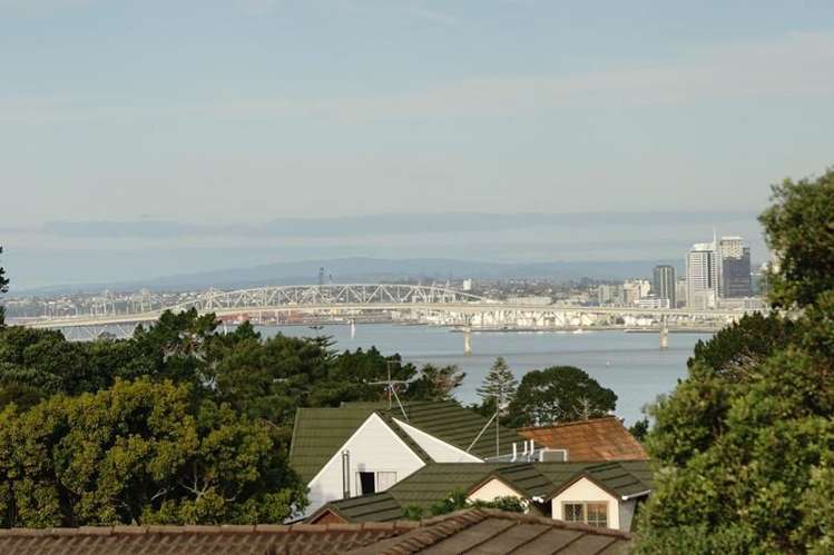 62 Porritt Avenue Chatswood_18