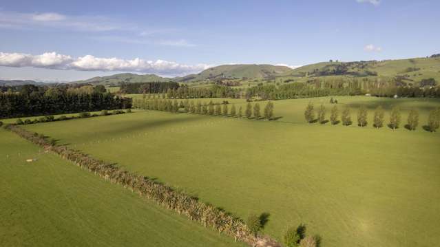 Lot 7 Admiral Road Carterton_4