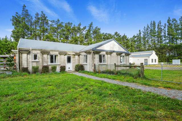 195 Wards Road Swannanoa_1